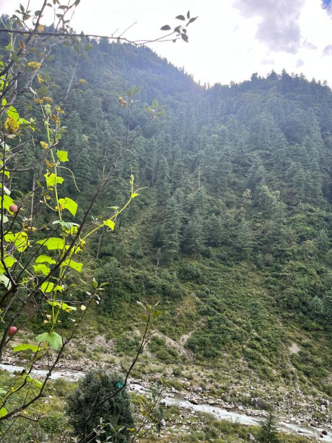 Survival In Forest, Tirthan Valley Bandal Exteriör bild